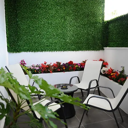 New Boulevard تيرانا